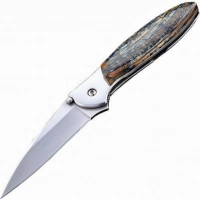 Полуавтоматический складной нож Santa Fe Kershaw Leek, сталь 14C28N, рукоять сталь с накладкой из зуба мамонта купить в Курске